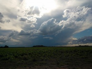 tormenta. la dulce digital