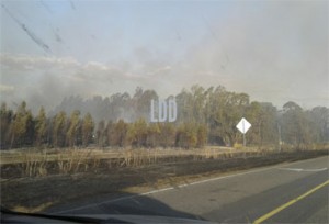 incendio ruta 86