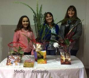 medio ambiente concurso ldd