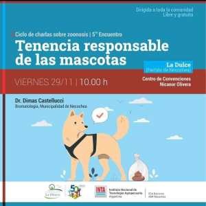 Tenencia responsable de las mascotas